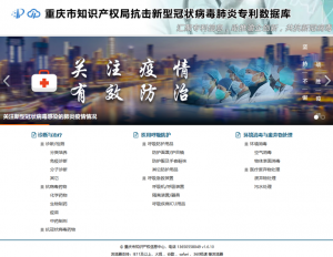 专利5