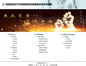 专利6