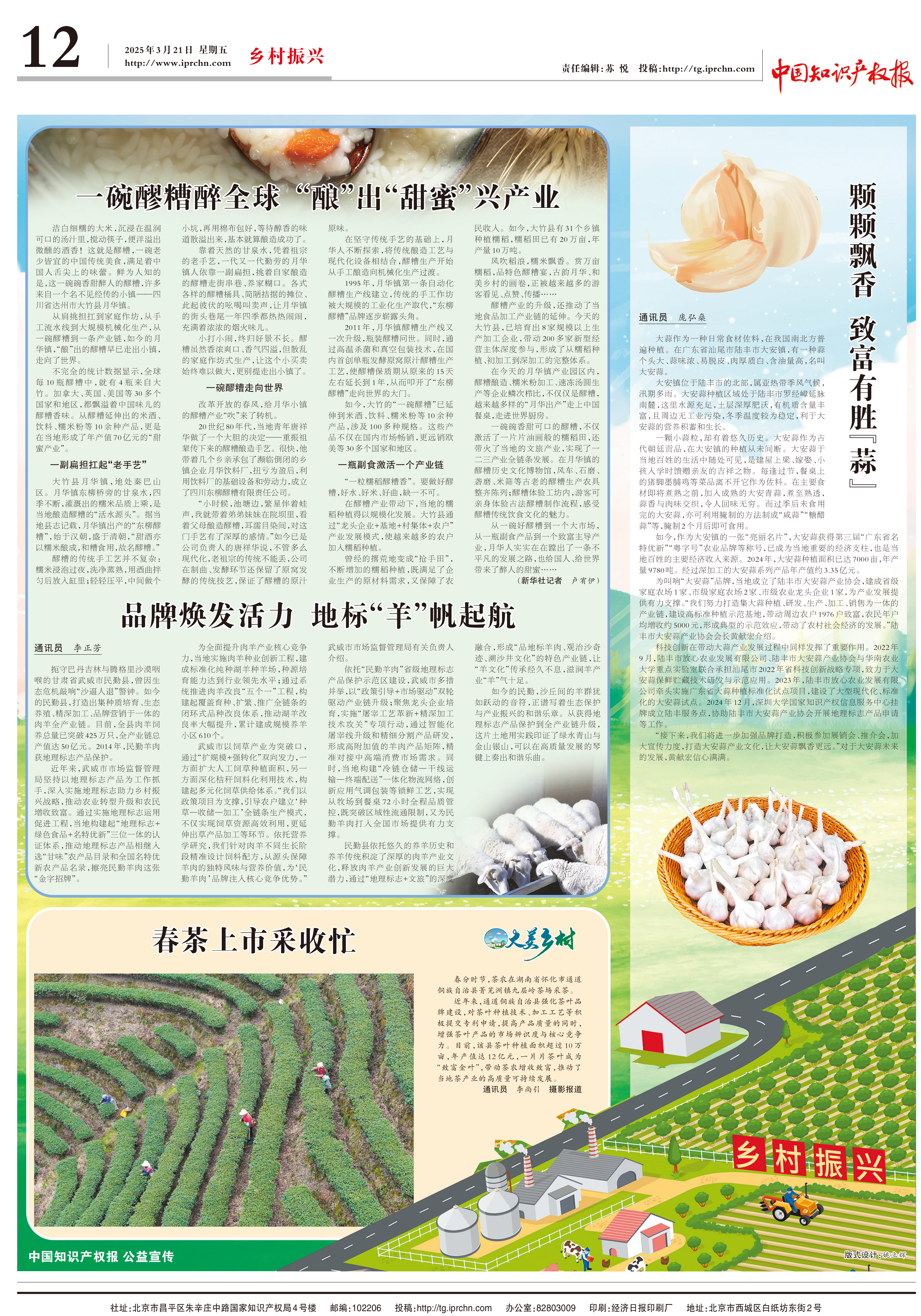 知识产权报发布版面2