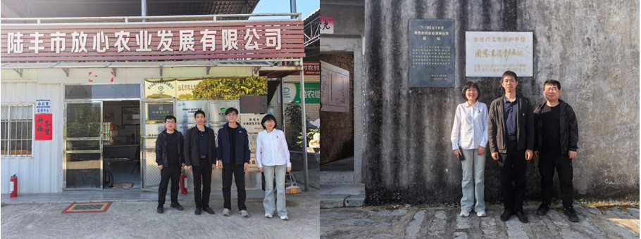 20251229101645_44601