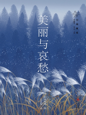 美丽与哀愁