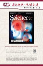 英文-13