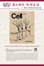 英文-17