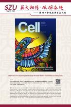 英文-3