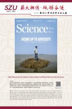 英文-6