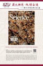 英文-7