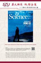 英文-8