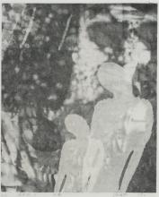 迷失NO3