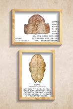 拓片展板4
