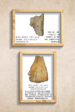 拓片展板8