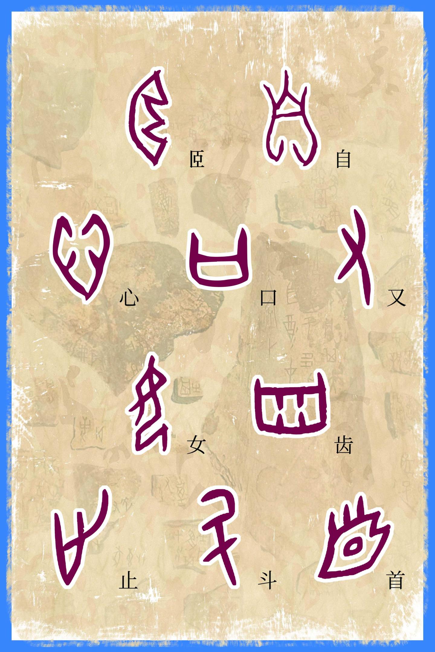 单字展板2