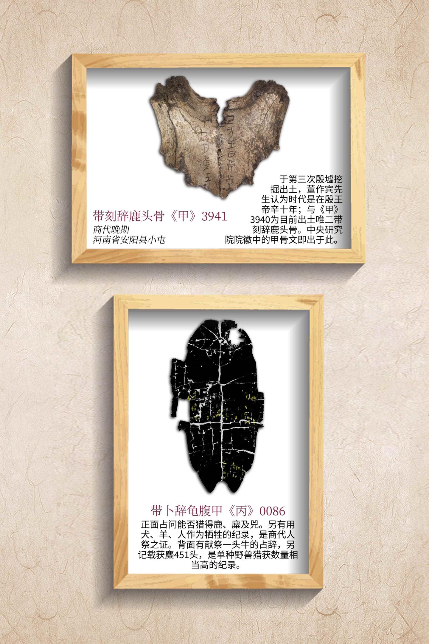 拓片展板10