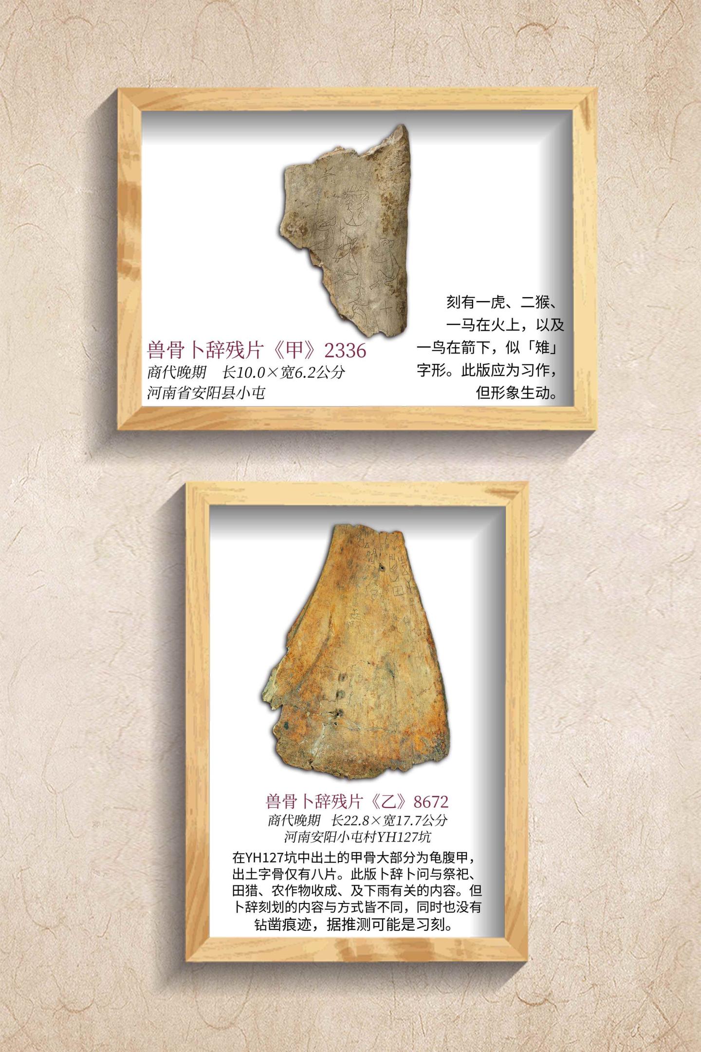 拓片展板8