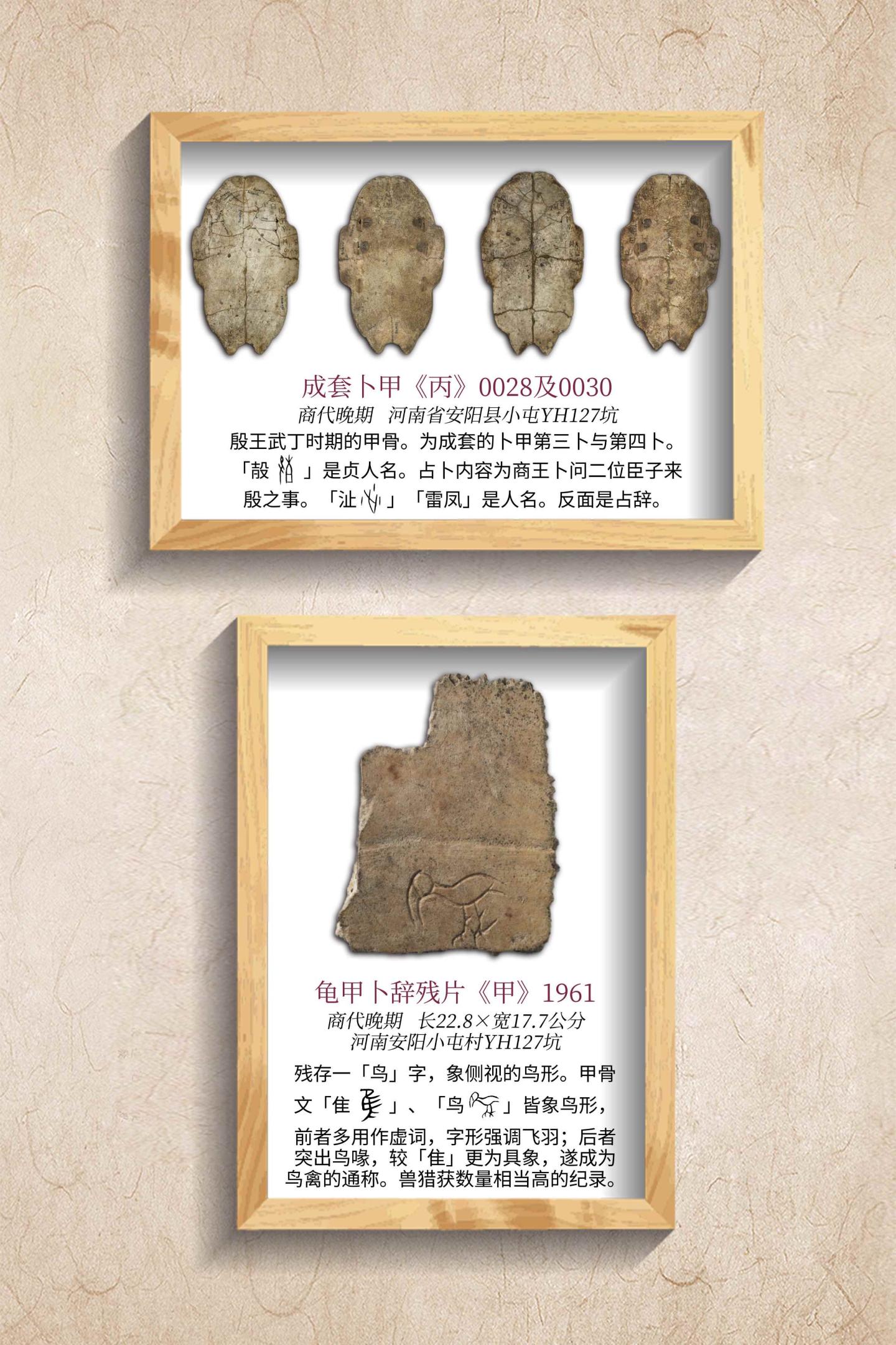 拓片展板9